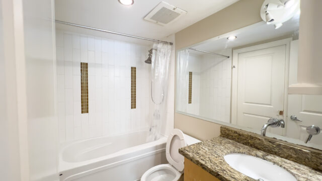 1 Bedroom Apartment in Central Richmond