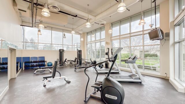 1 Bedroom Apartment in Central Richmond